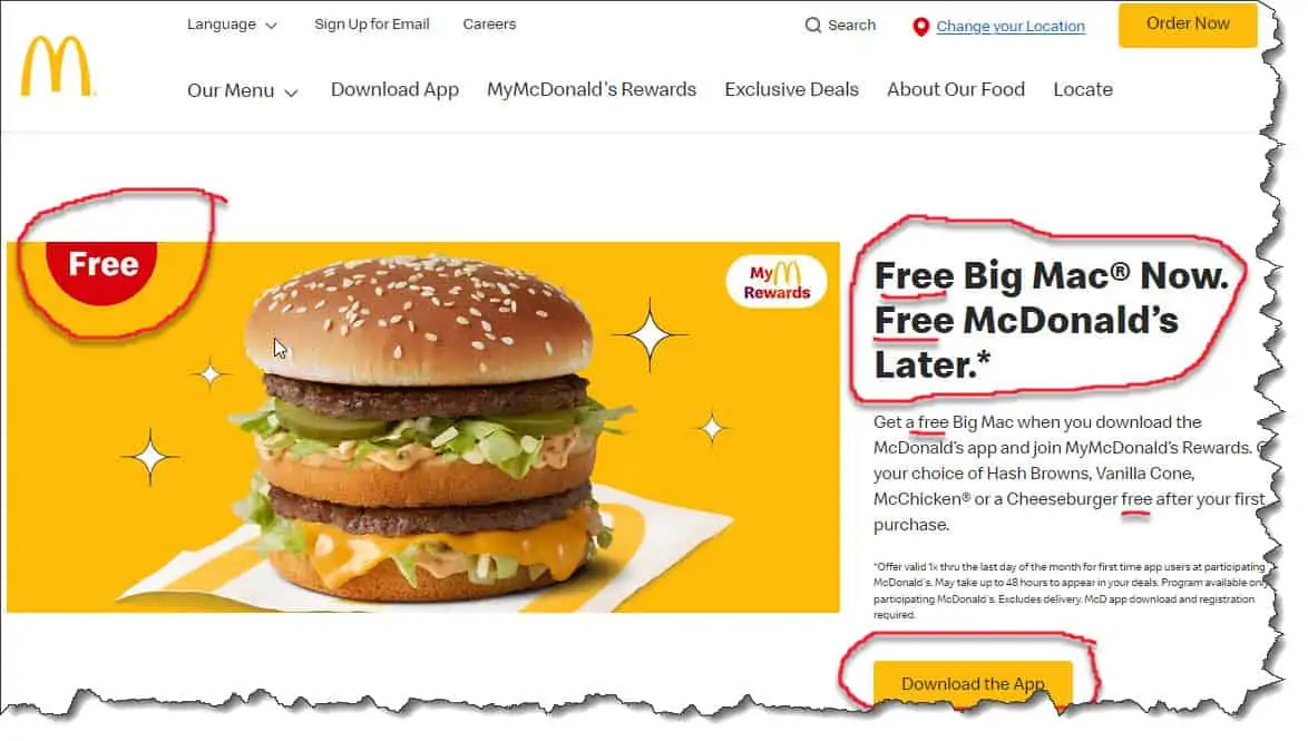 McDonalds use of FREE_Operational Excellence and Why is it Important